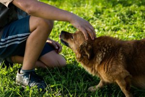 parlare-con-il-cane